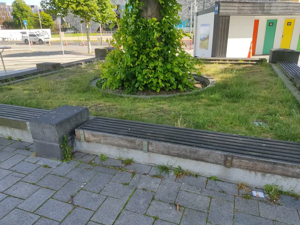The photograph attached to this parks report