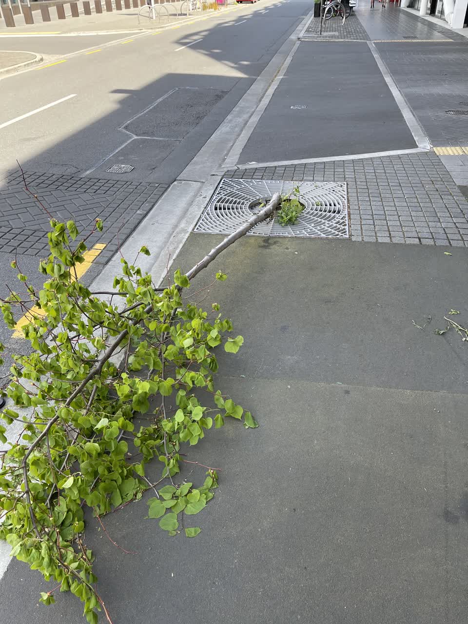 The photograph attached to this parks report