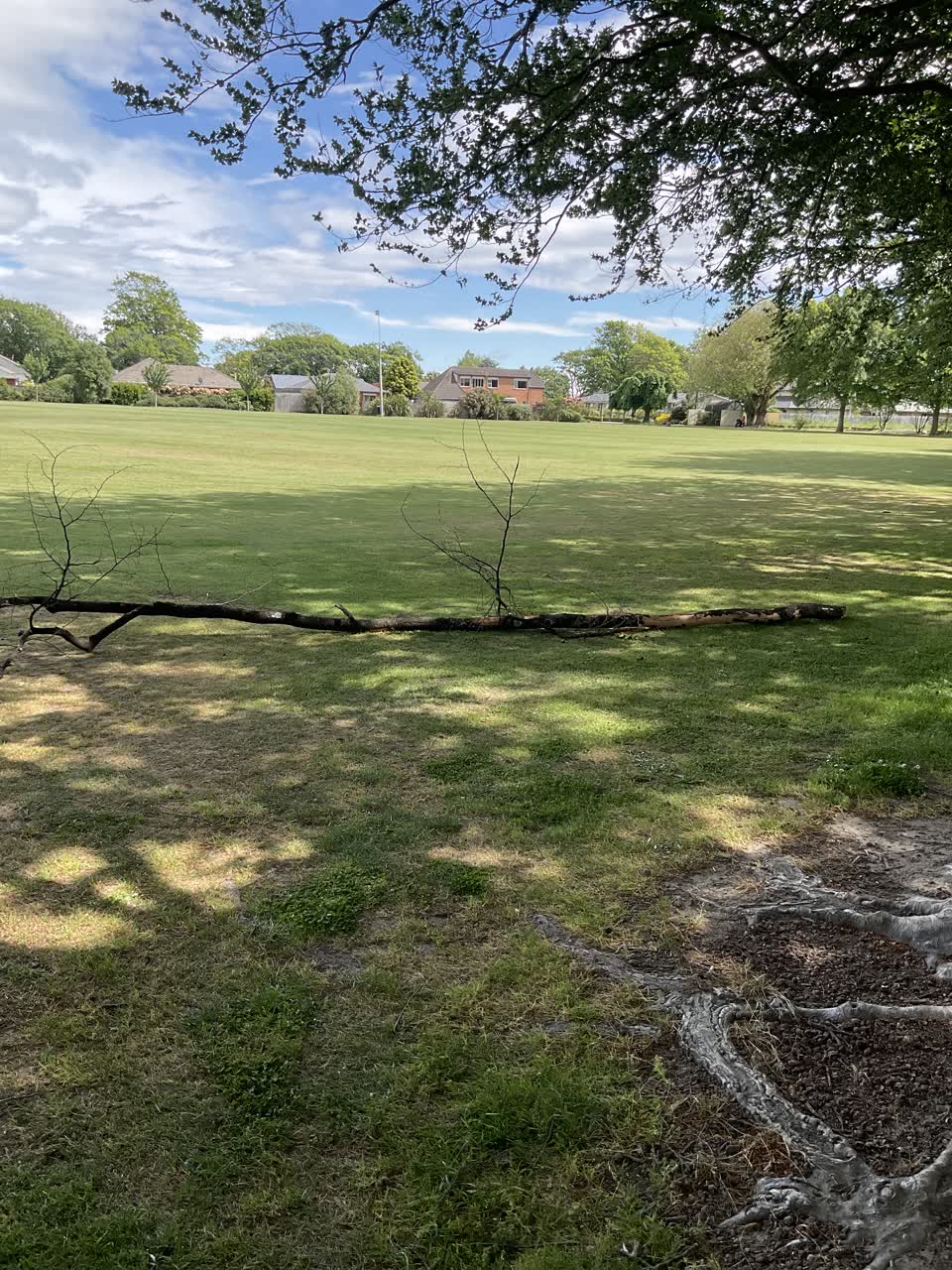 The photograph attached to this parks report