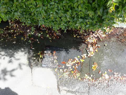 Water Leak, a report photo