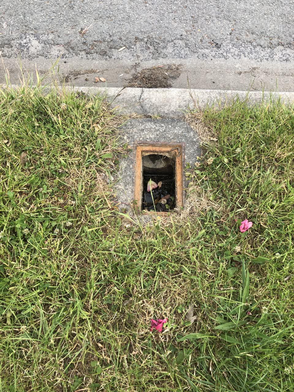 The photograph attached to this sewer - general report