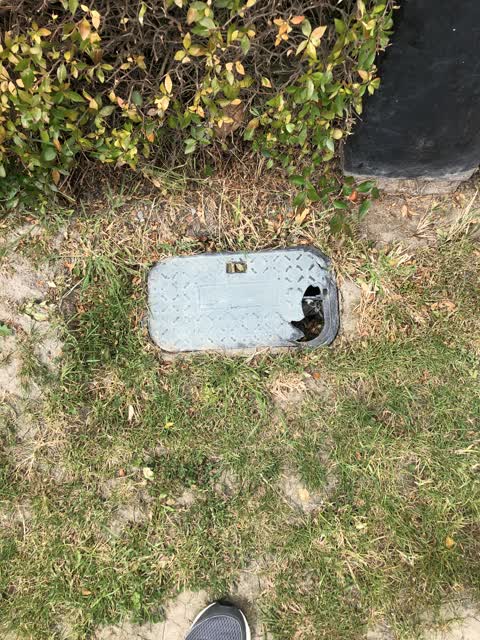 Sewer - General, a report photo