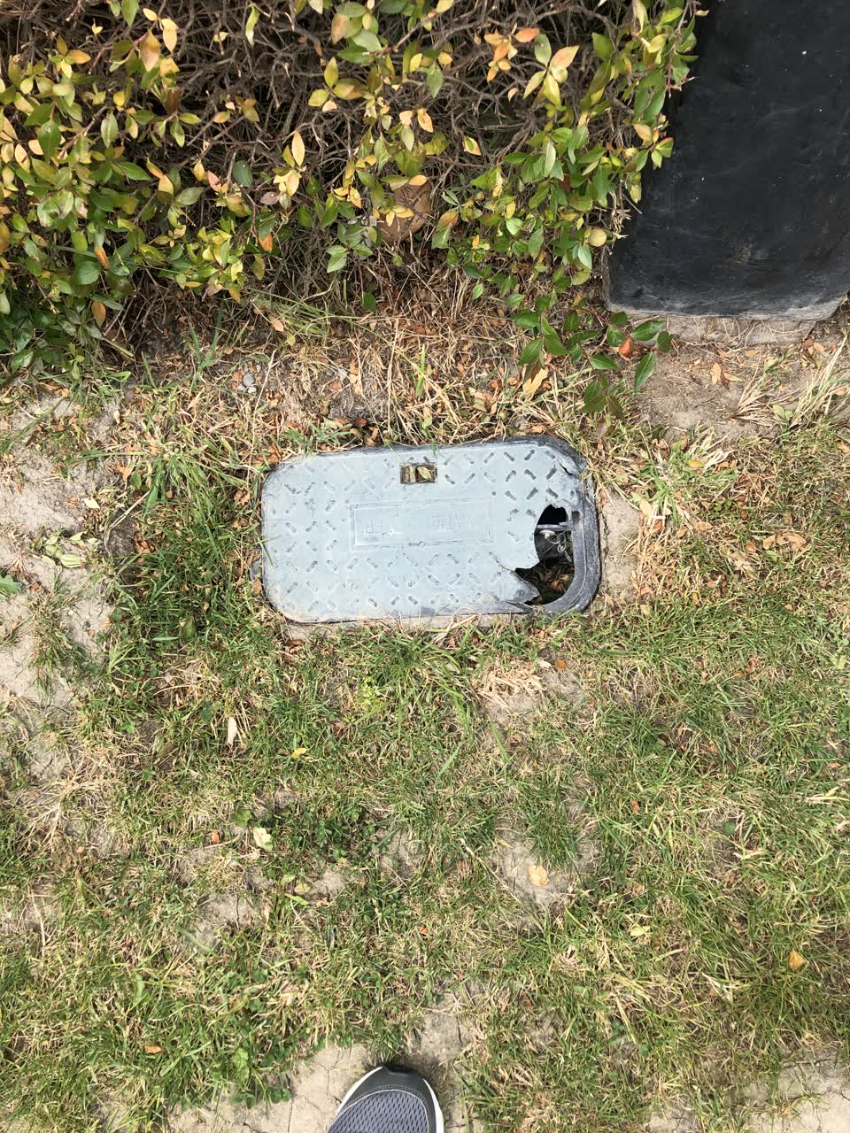 The photograph attached to this sewer - general report