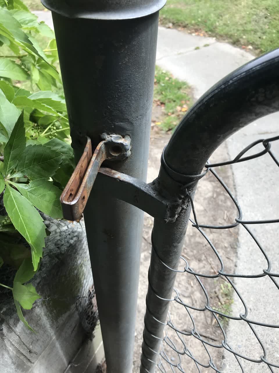 The photograph attached to this parks report