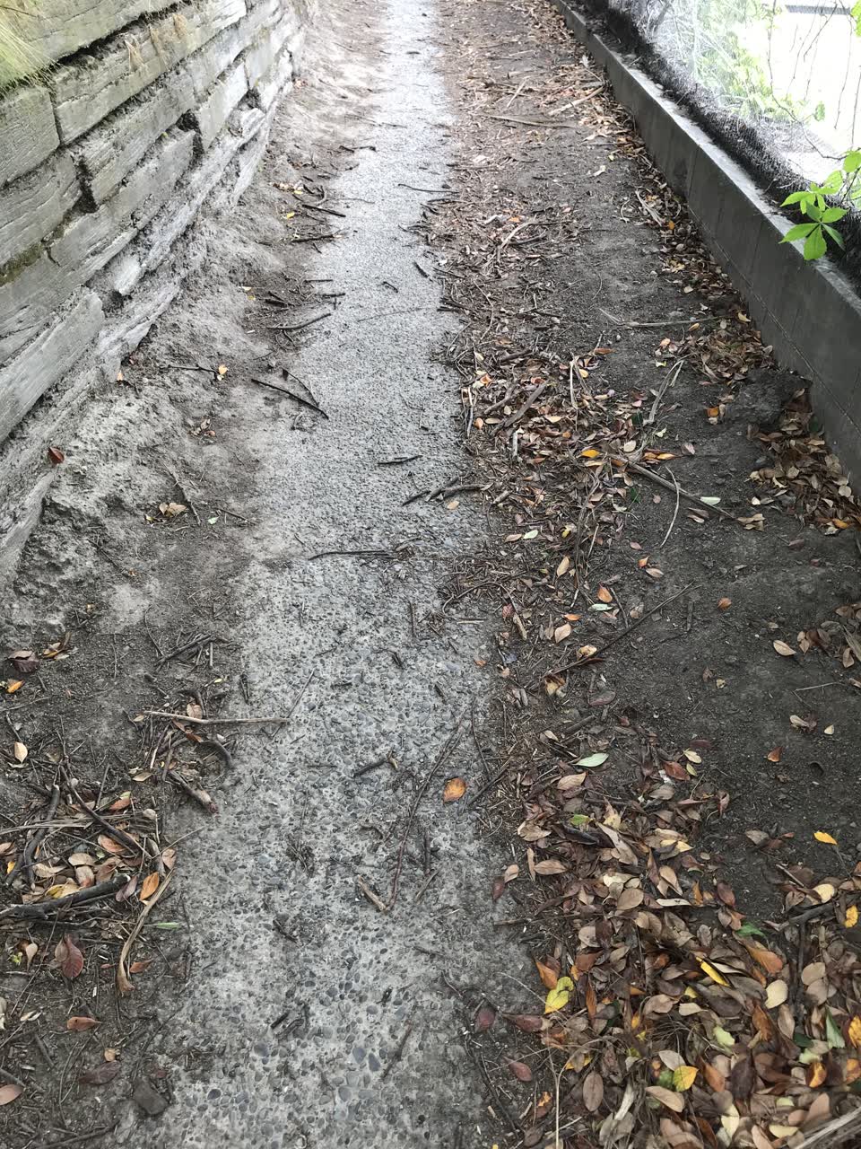 The photograph attached to this parks report