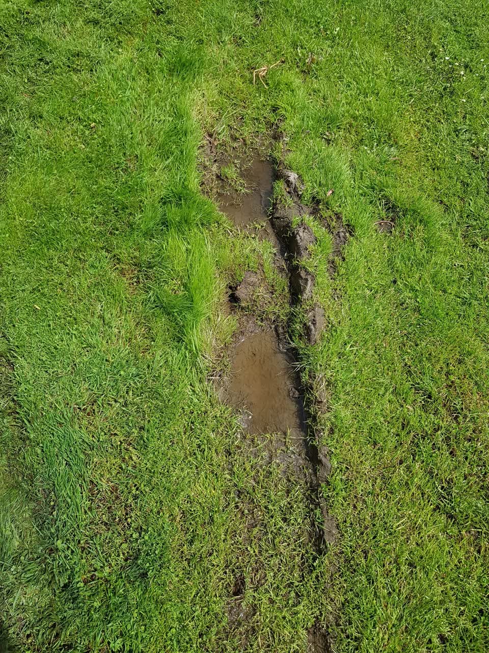 The photograph attached to this water leak report