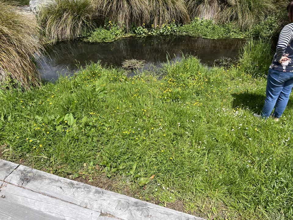 The photograph attached to this parks report