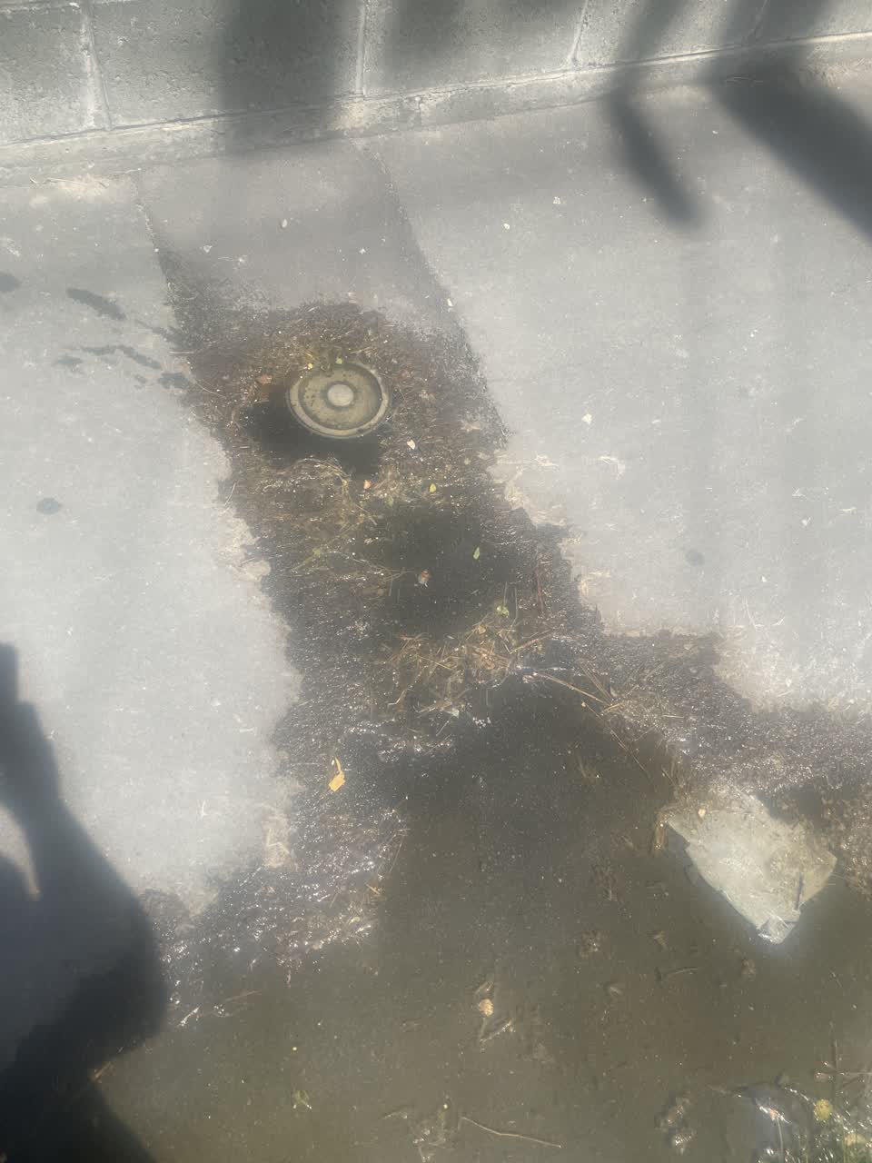 The photograph attached to this water leak report