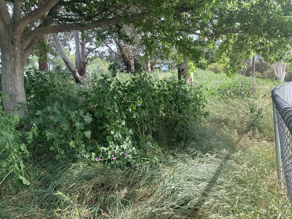 The photograph attached to this parks report