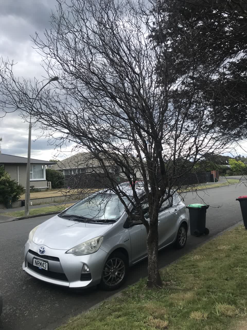 The photograph attached to this parks report