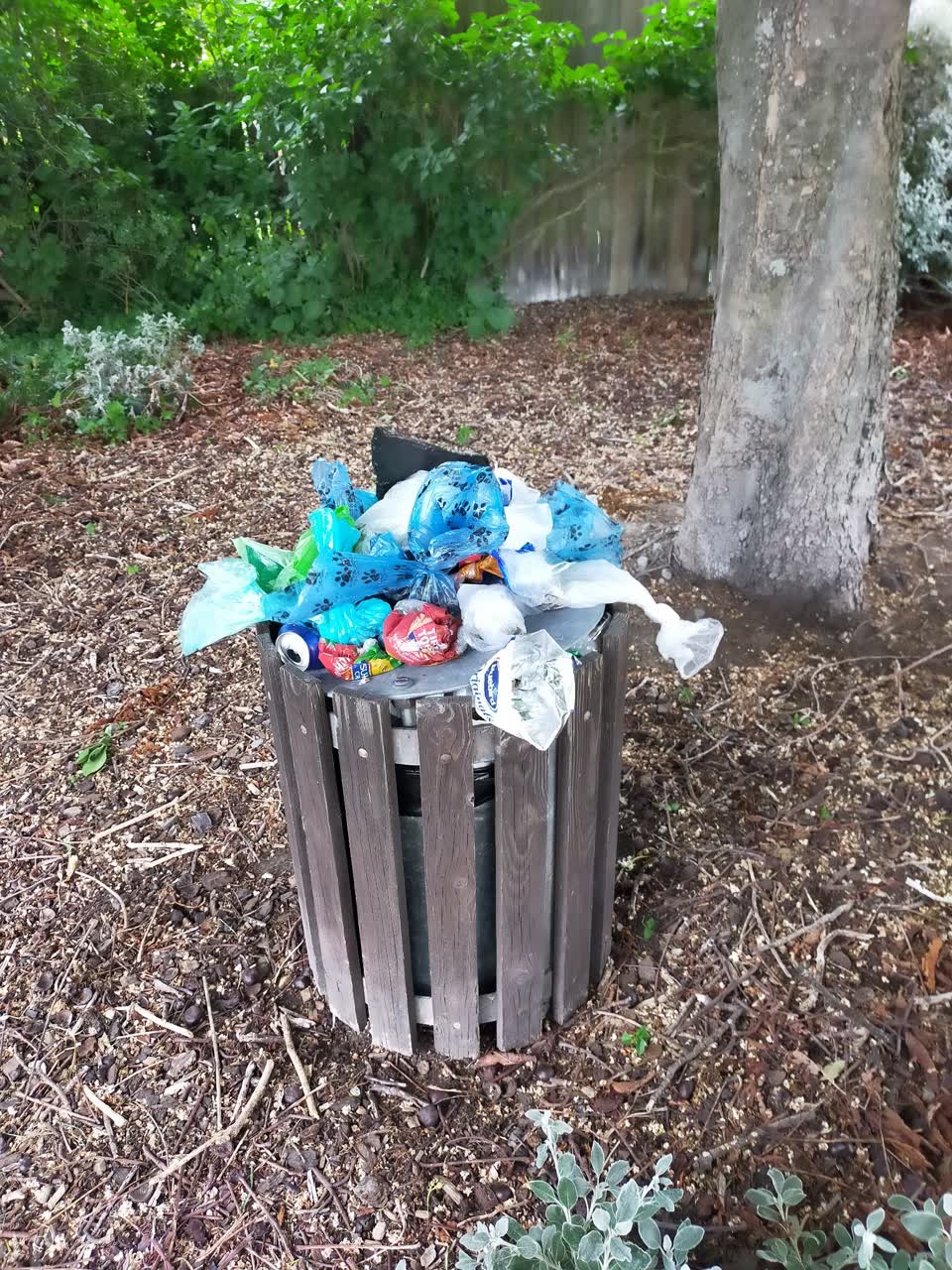 The photograph attached to this rubbish/recycling report