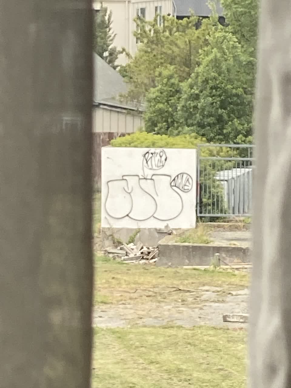 The photograph attached to this graffiti report