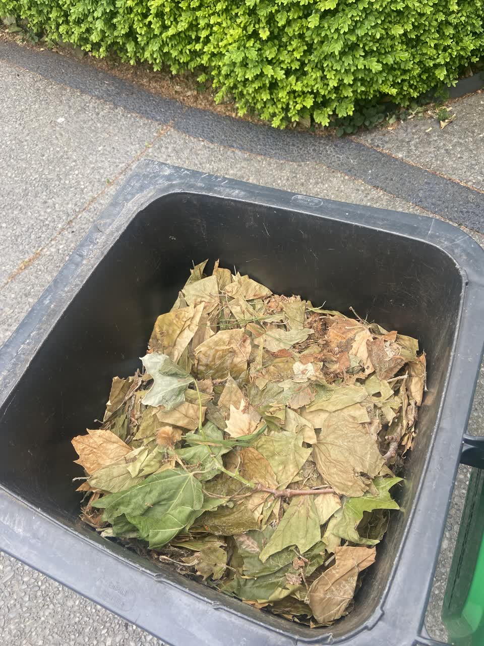 The photograph attached to this rubbish/recycling report