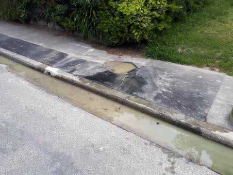 Sewer - Leak / Blockage, a report photo