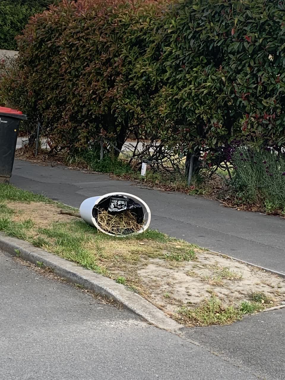 The photograph attached to this rubbish/recycling report