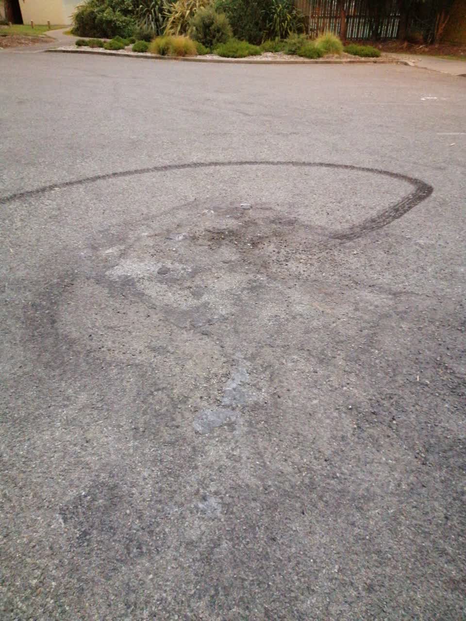 The photograph attached to this parks report