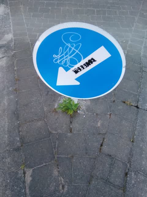 Roading/Streets, a report photo