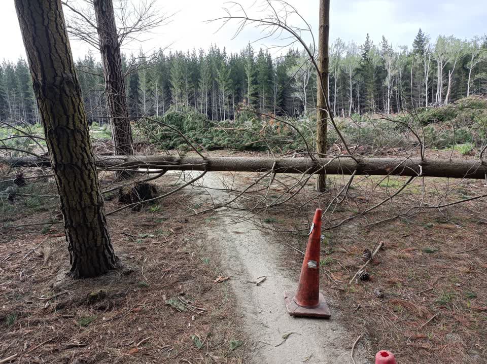 The photograph attached to this parks report