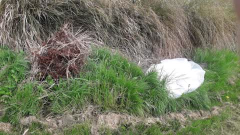 Parks, a report photo