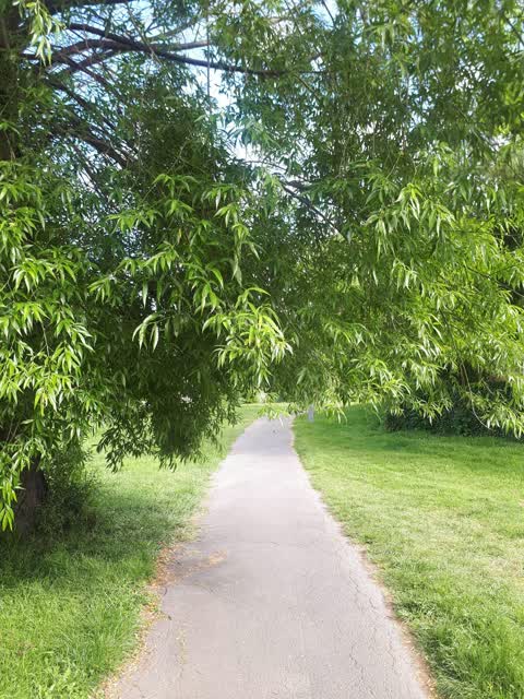Parks, a report photo