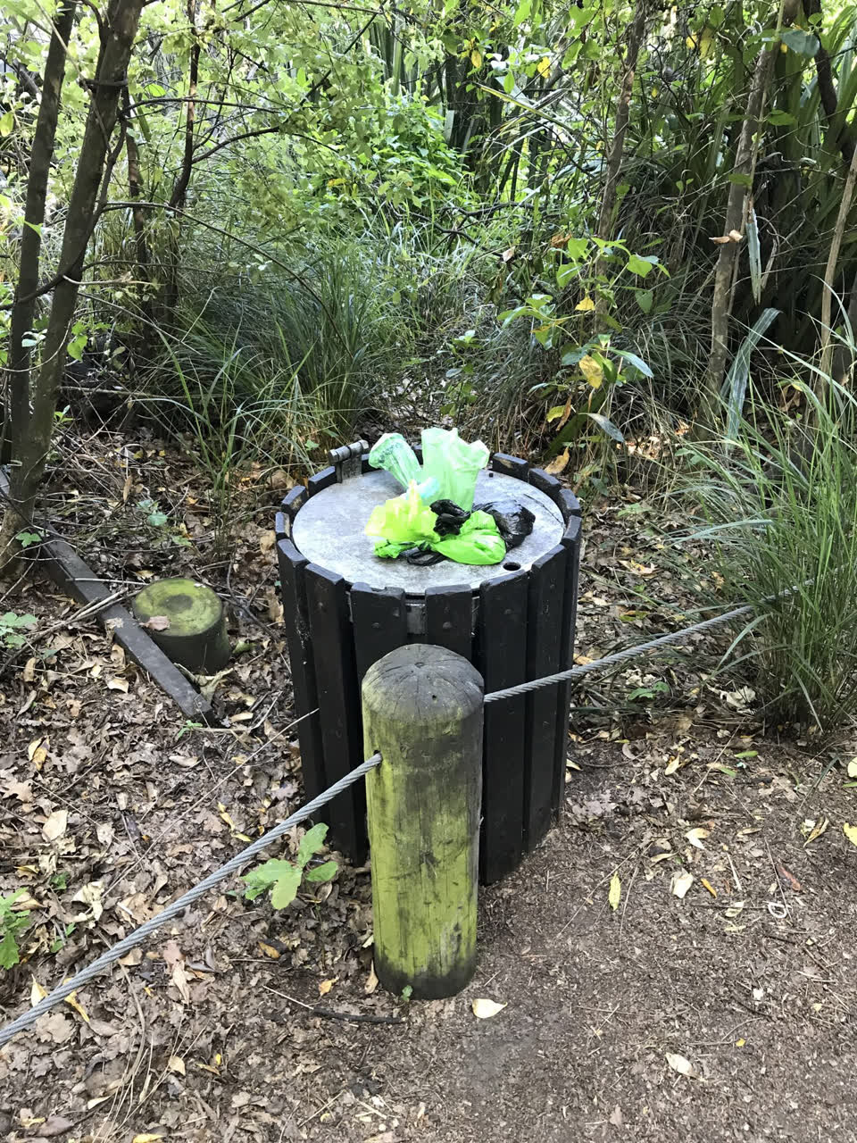 The photograph attached to this rubbish/recycling report
