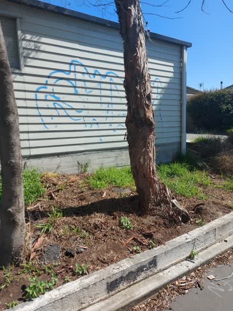 Graffiti, a report photo