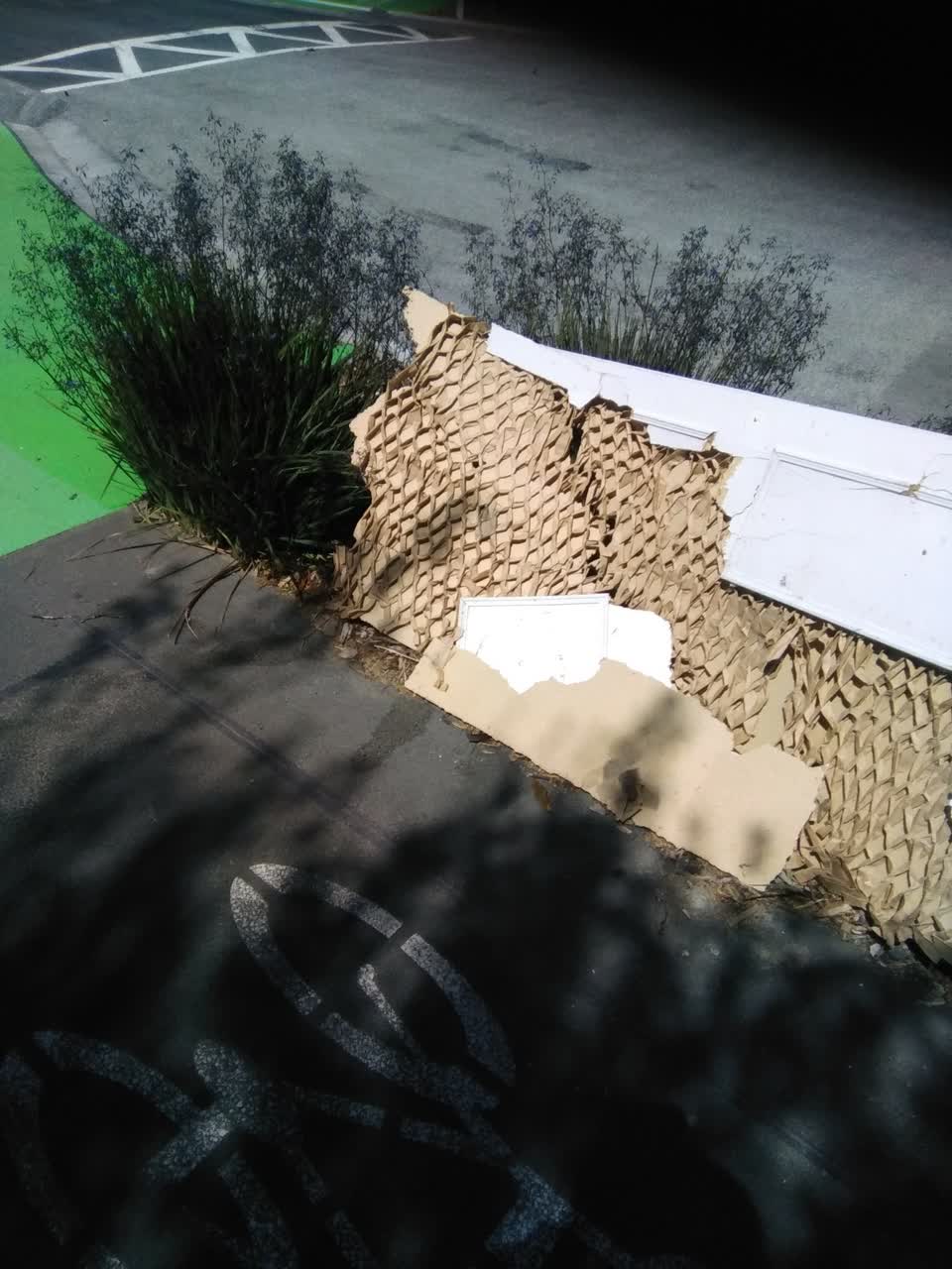The photograph attached to this parks report