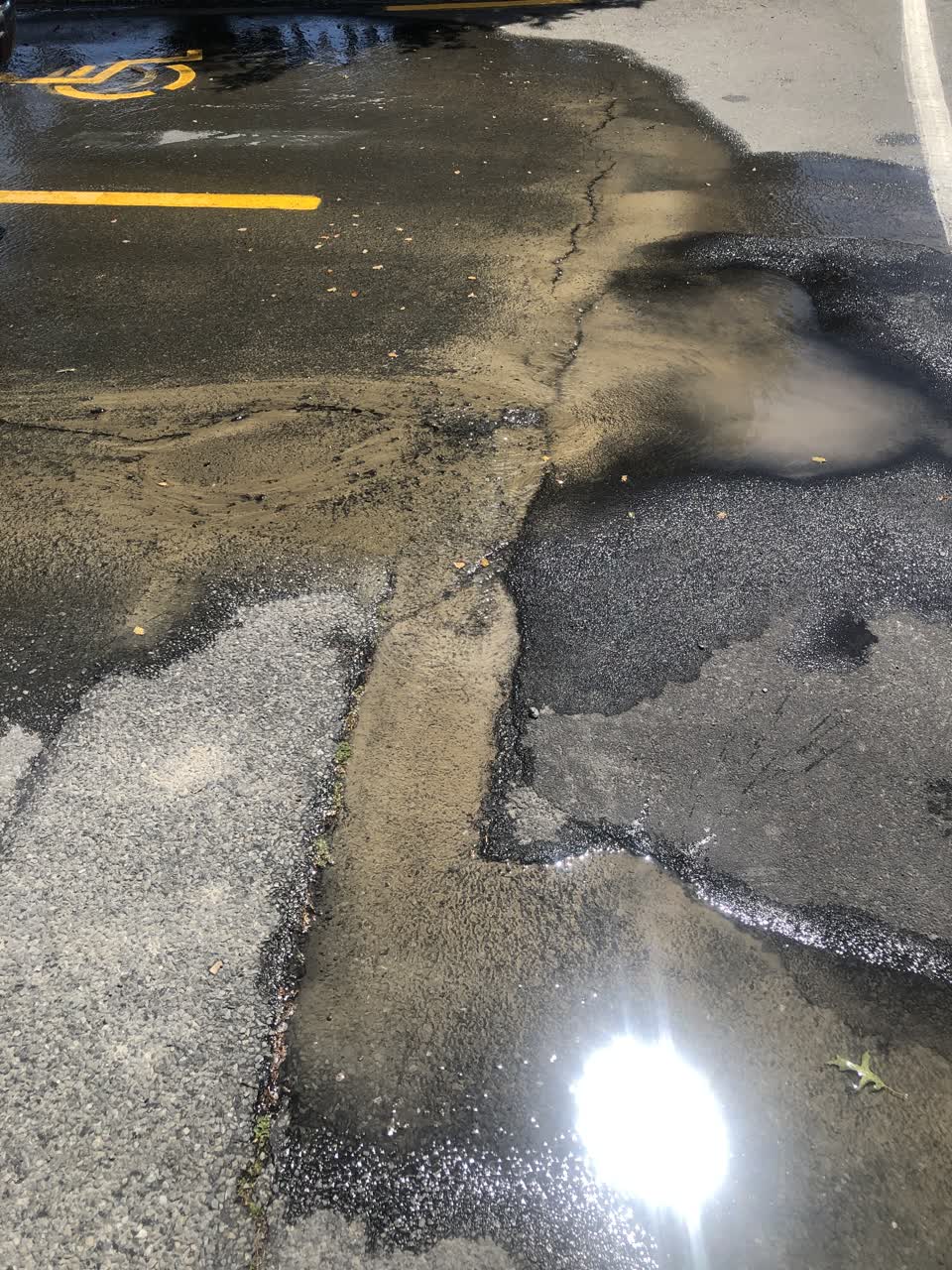 The photograph attached to this water leak report