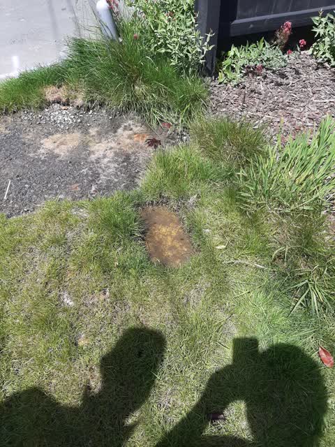 Water Leak, a report photo