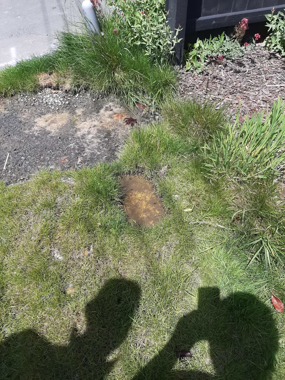 The photograph attached to this water leak report