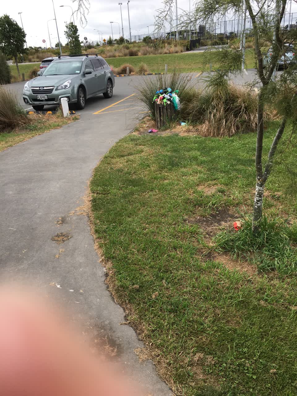 The photograph attached to this parks report