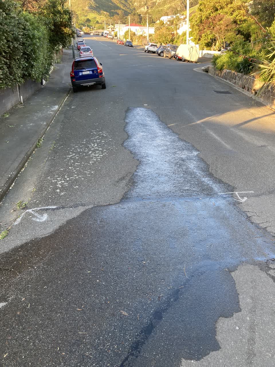 The photograph attached to this water leak report