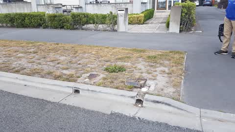 Roading/Streets, a report photo