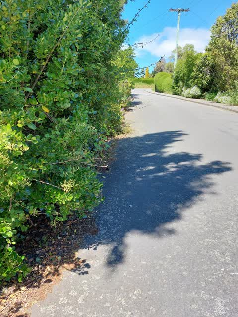 Roading/Streets, a report photo