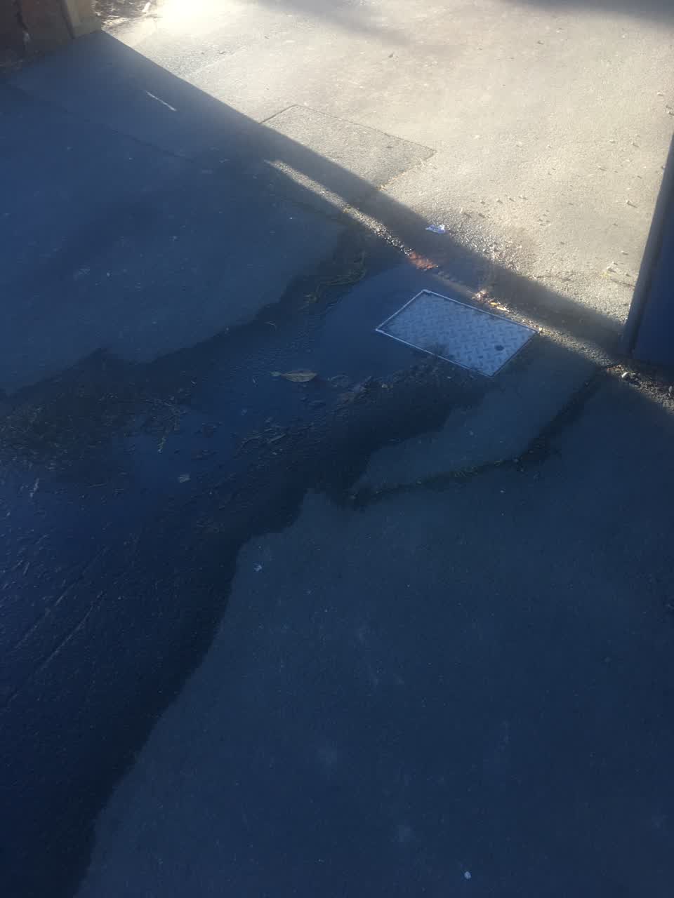 The photograph attached to this water leak report