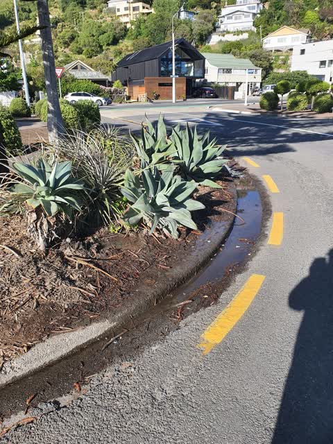 Parks, a report photo