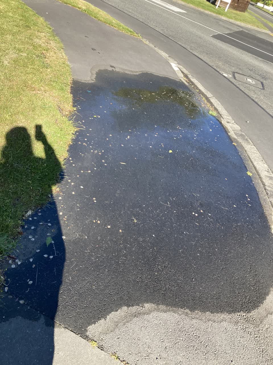 The photograph attached to this water leak report
