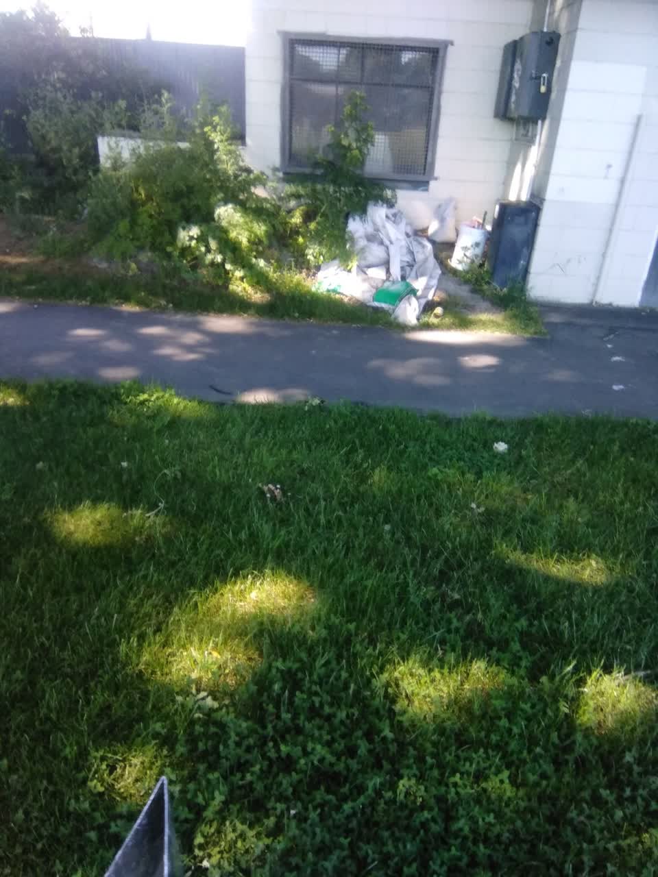 The photograph attached to this parks report
