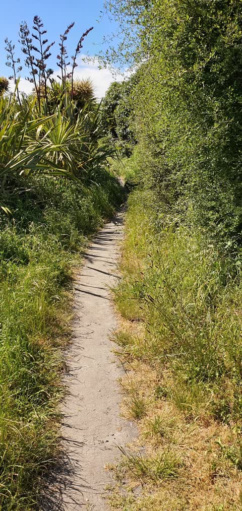 Parks, a report photo
