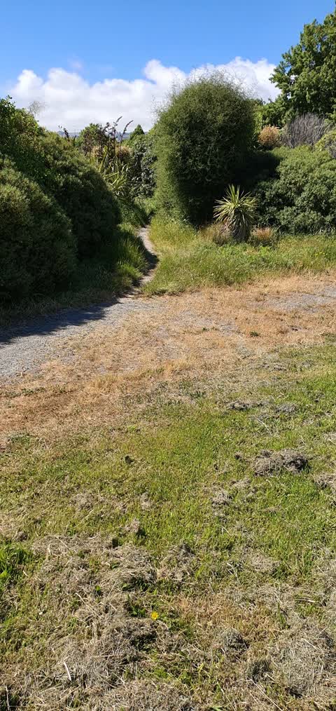 Parks, a report photo