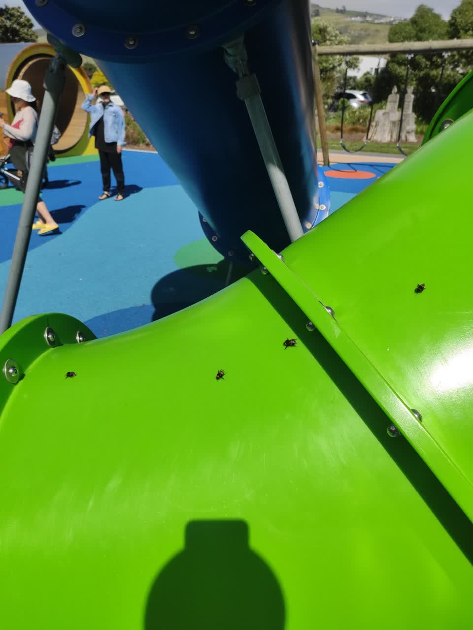 The photograph attached to this parks report