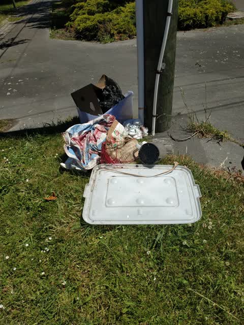 Rubbish/Recycling, a report photo
