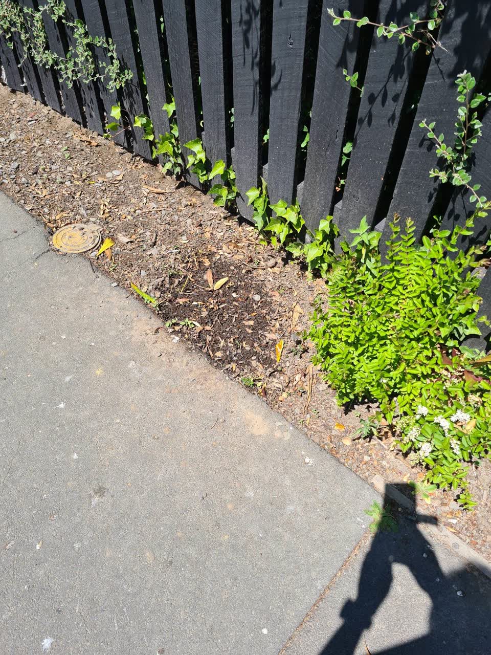 The photograph attached to this water leak report
