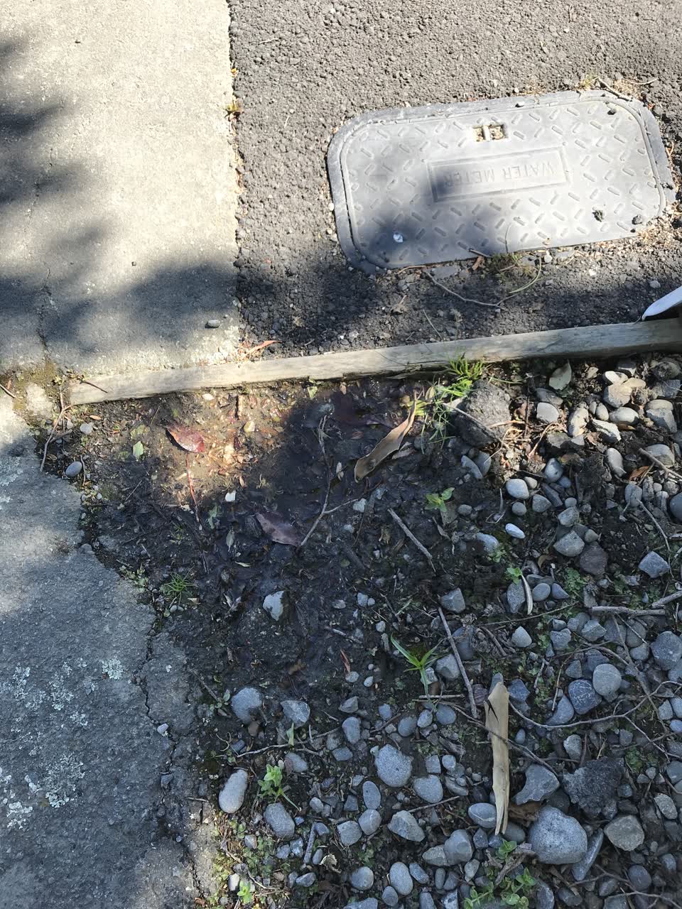 The photograph attached to this water leak report