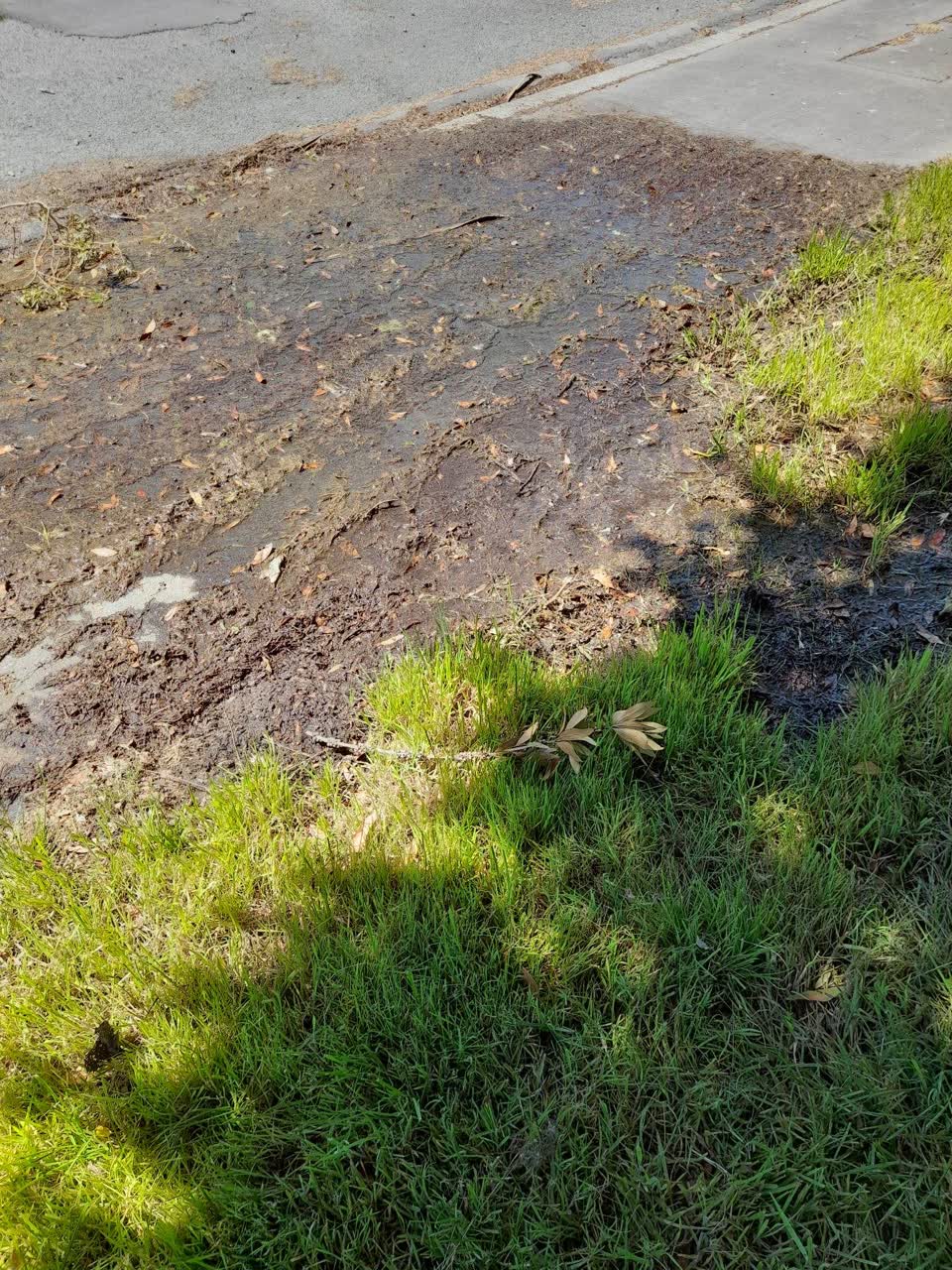 The photograph attached to this water leak report