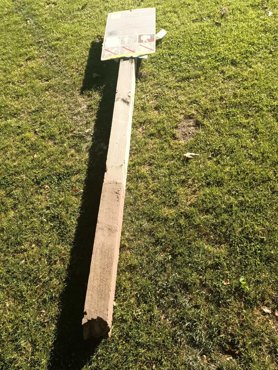 The photograph attached to this parks report