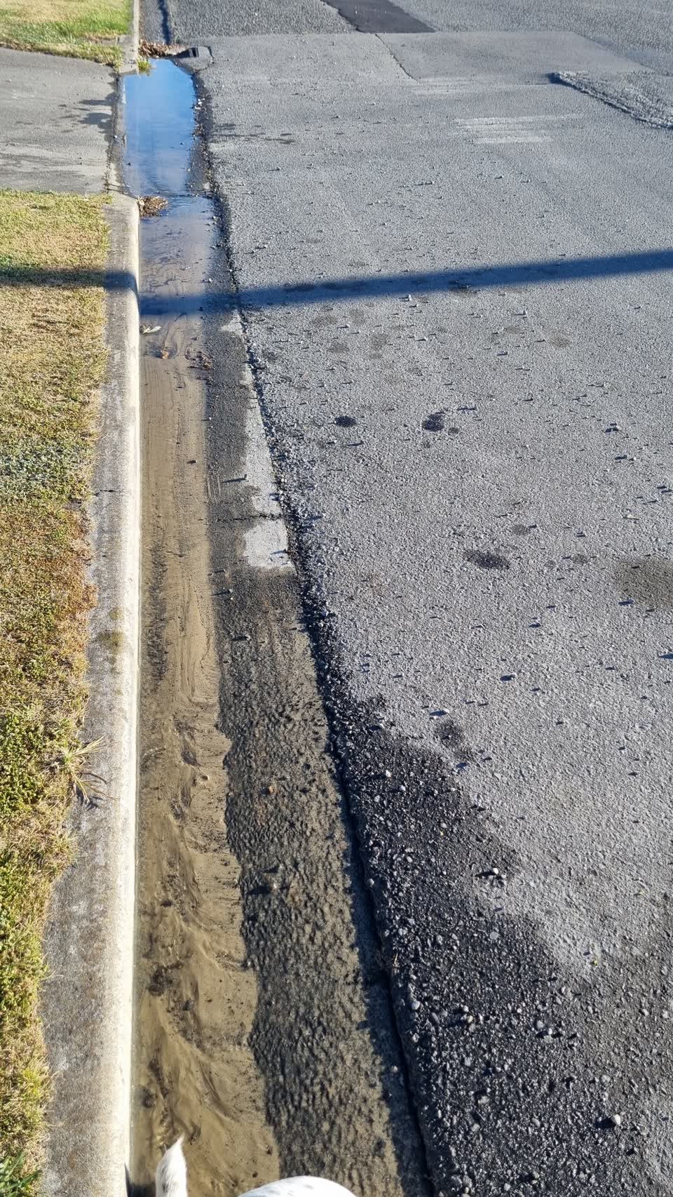 The photograph attached to this water leak report