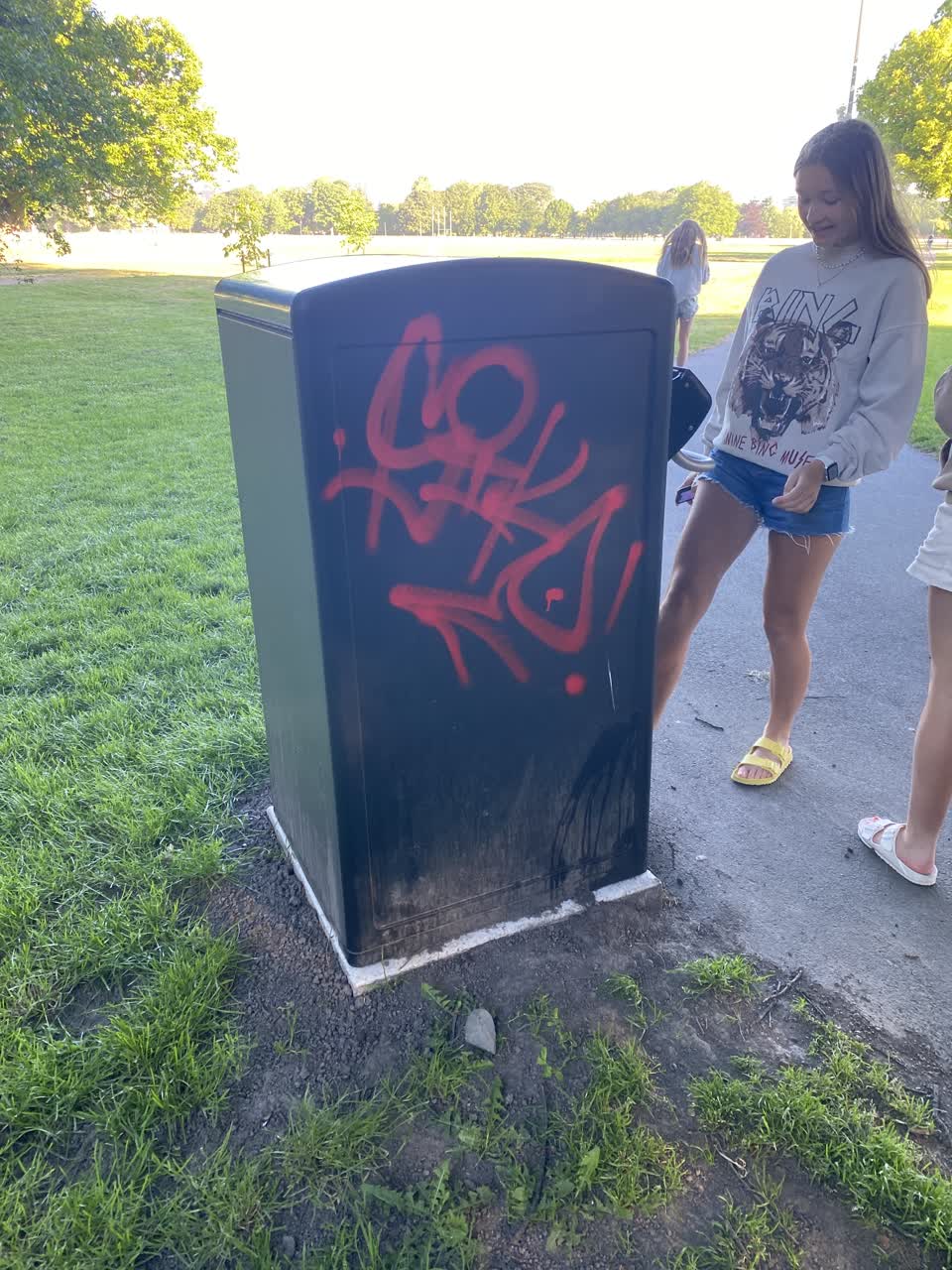 The photograph attached to this graffiti report