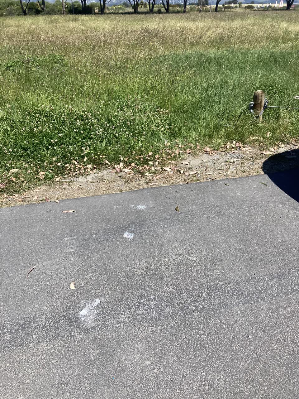 The photograph attached to this parks report