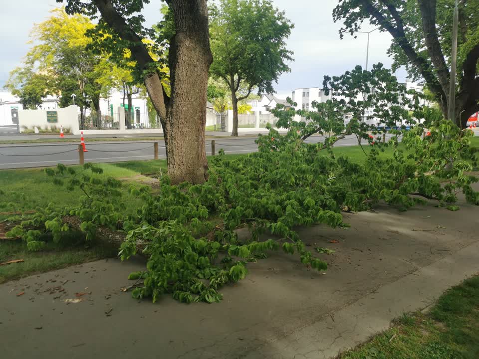 The photograph attached to this parks report